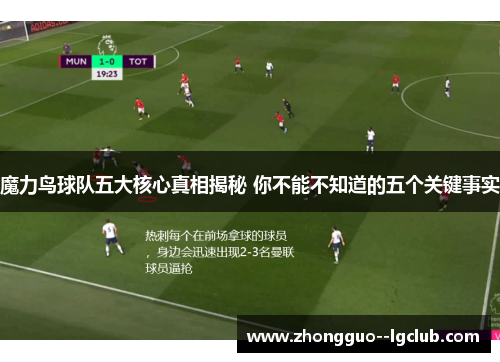 魔力鸟球队五大核心真相揭秘 你不能不知道的五个关键事实